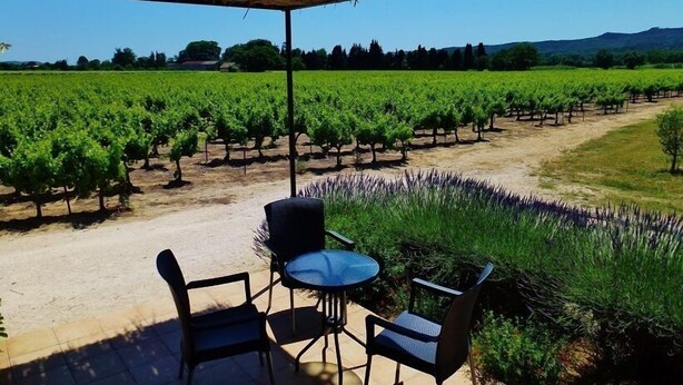 Een overdekt terras met een tafel en stoelen, met uitzicht op een wijngaard.