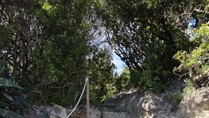 Ein steiniger Weg führt bergauf, links ist ein Seilgeländer.