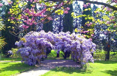 Beautiful renovated stone villa - private pool,park,air conditioning,smart tv