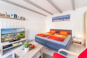 Smart TV, reproductor de DVD, libros y videoteca