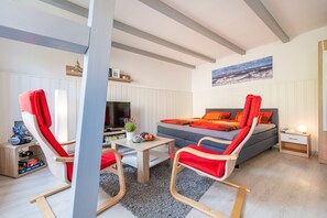 Smart TV, reproductor de DVD, libros y videoteca