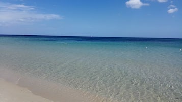 Una spiaggia limpida con acque basse e una riva sabbiosa.