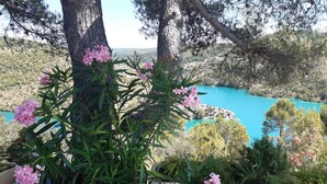 A balcony with a view of a turquoise lake, surrounded by trees and flowering plants. - Architect's house, rustic style, will seduce you by its environment  (Esparron-De-Verdon)