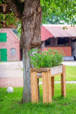 Property grounds - New: Apartment 3ZKB near the North Sea Bremerhaven Cuxhaven Bad Bederkesa (Kührstedt)