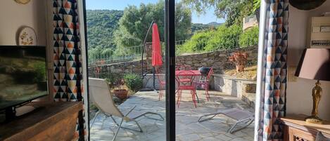 TV, DVD player, books