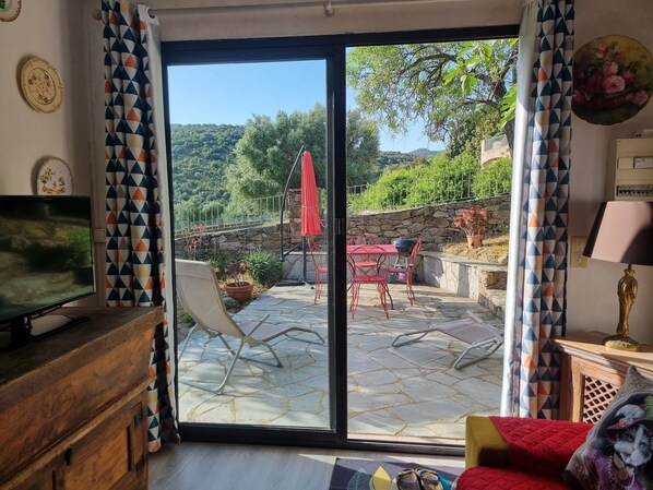 Téléviseur, lecteur de DVD, livres