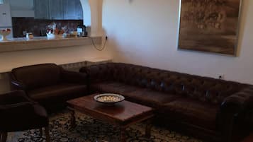 TV connectée, cheminée, lecteur de DVD, livres