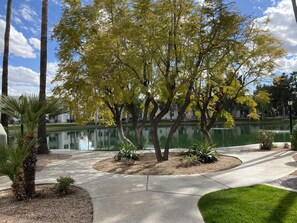 Property grounds - A Perfect Retreat at Lakeshore by Anderson Springs (Chandler)