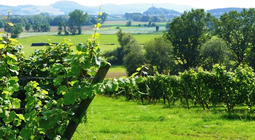 Gemütliche Ferienwohnung mit Blick ins Grüne