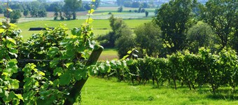 Cozy apartment with a view of the countryside