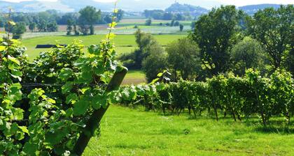 Gemütliche Ferienwohnung mit Blick ins Grüne