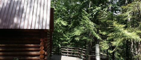 A log cabin with a metal roof, surrounded by dense forest.