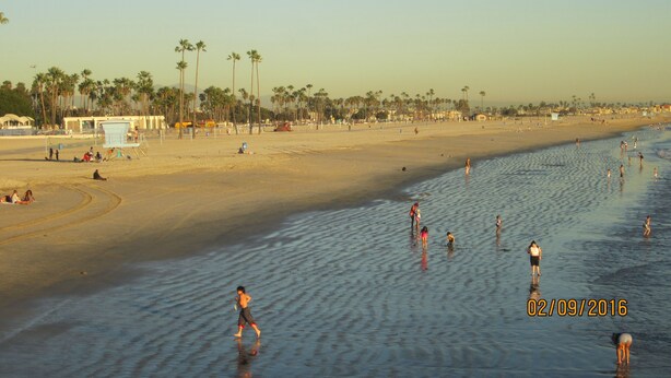 A beach with people walking and swimming, palm trees, and a lifeguard tower.