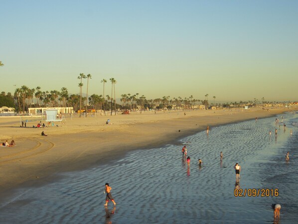 Sun-loungers, beach towels
