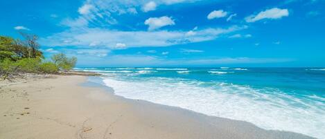 Beach | On the beach, beach towels