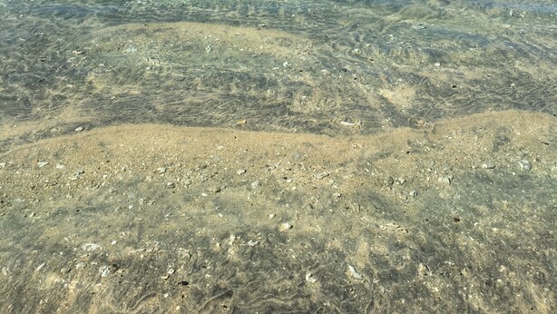 A clear view of a beach with shallow water revealing the sandy bottom. - Jolie CASE CREOLE, LAGON à pied, JARDIN (La Saline-Les-Bains)