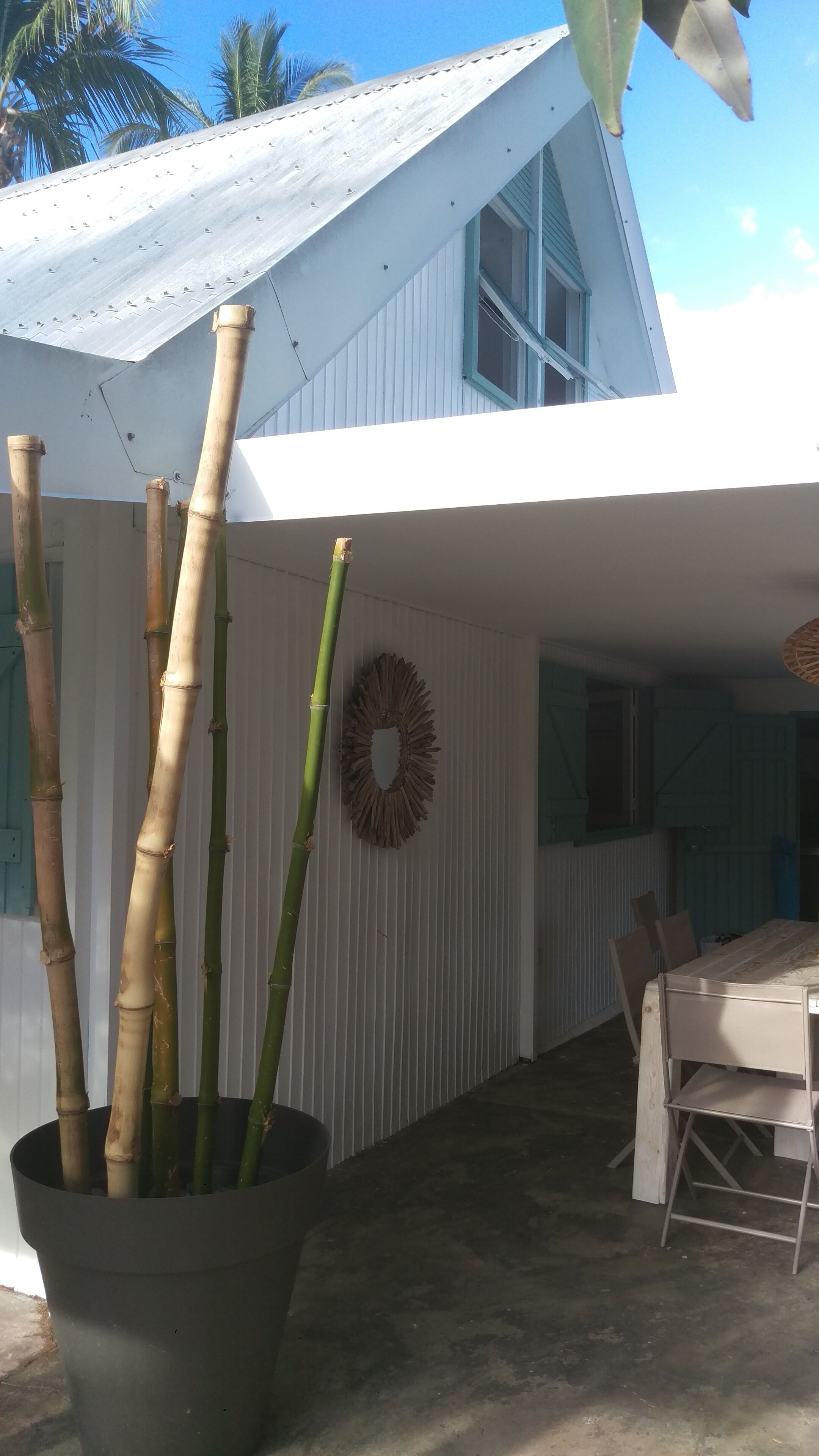 Une maison moderne, avec un grand plant de bambou en pot au premier plan, une façade blanche et un coin repas comprenant une table et des chaises.