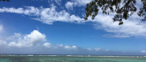 Perto da praia, toalhas de praia