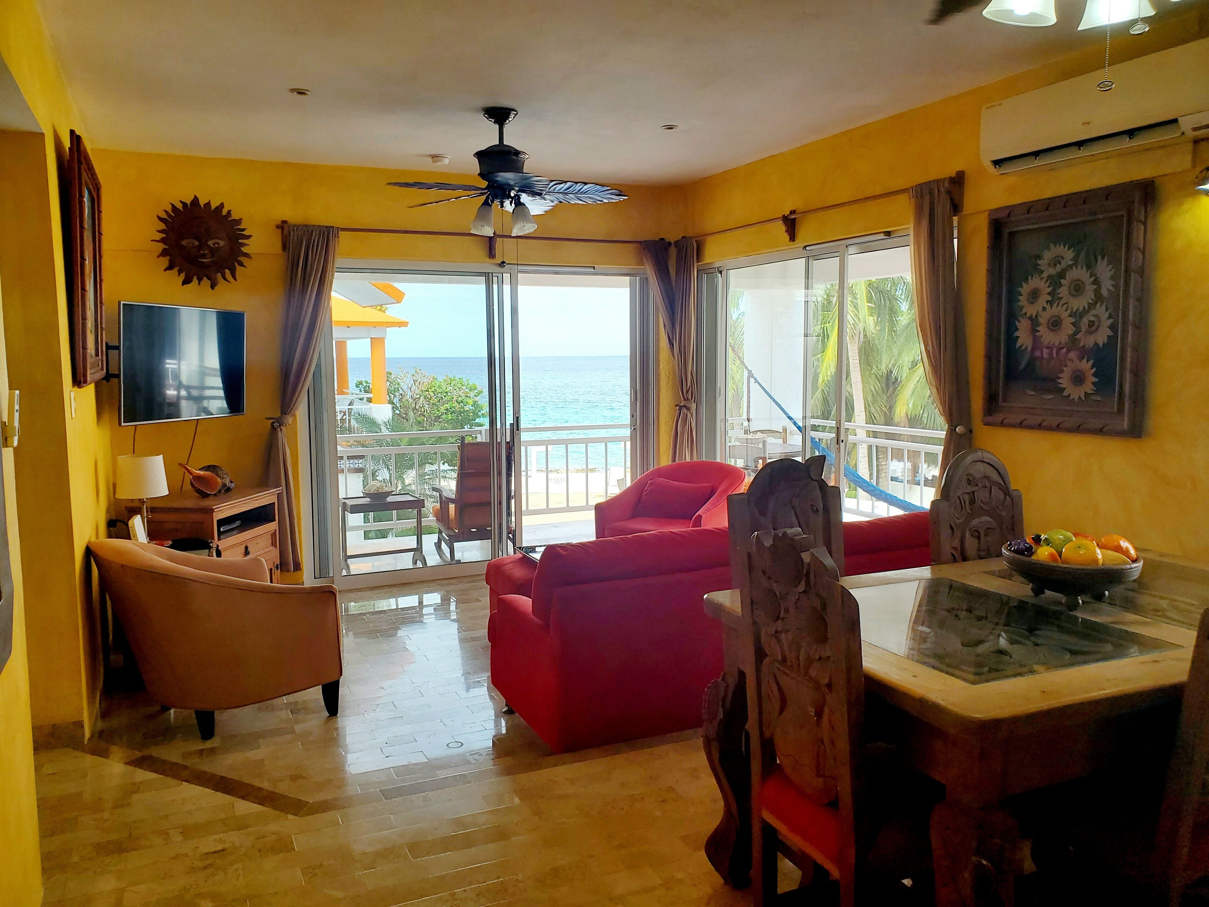 Smart TV, DVD player, books, music library