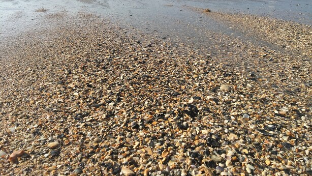 Ein Kiesstrand mit Wellen und einem Pier im Hintergrund.