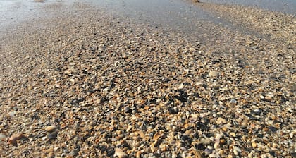 Highly Rated, Extremely Clean, Tranquil Vacation Home, not your typical rental