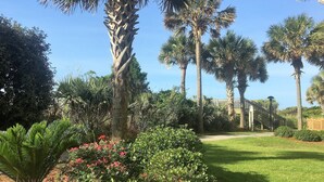 Ein gepflegter Garten mit Palmen, einem Weg und einem Gebäude im Hintergrund.