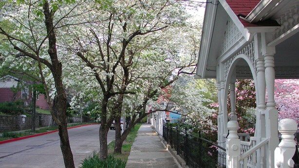 A sidewalk lined with trees and a white building with a porch. - The Best Historic District Victorian Cottage in Eureka Springs (Eureka Springs)