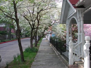 A sidewalk lined with trees and a white building with a porch.