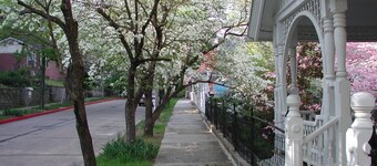 The Best Historic District Victorian Cottage i Eureka Springs