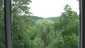 A view through a window of a lush, green landscape with dense foliage and a hill in the background. - The Best Historic District Victorian Cottage in Eureka Springs (Eureka Springs)