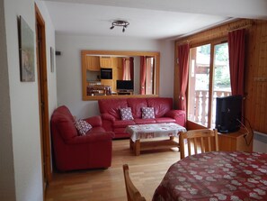 Una televisión, un reproductor de DVD, libros, una videoteca