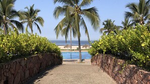 A paved pathway leading to a pool area surrounded by palm trees and greenery. - Luxurious newly renovated BeachFront Condo & Vidanta Membership (Nuevo Vallarta)