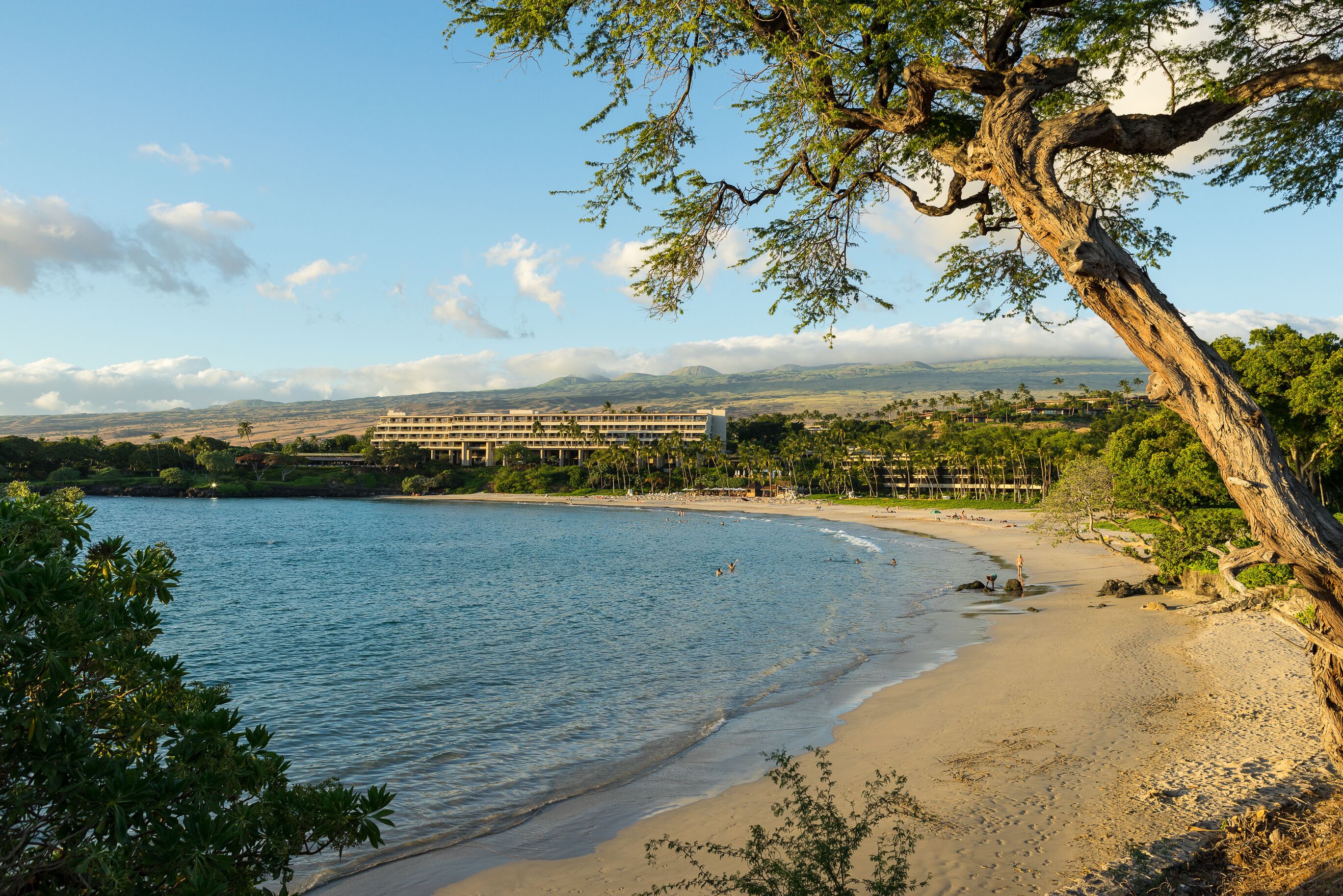 A beachfront hotel with a curved shoreline, palm trees, and a view of distant mountains.