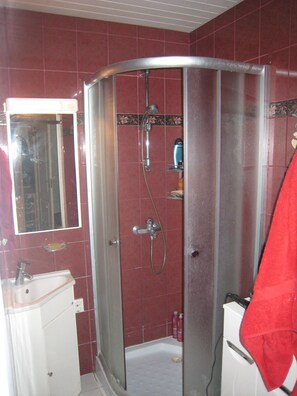 Secadora de cabello y papel de baño 