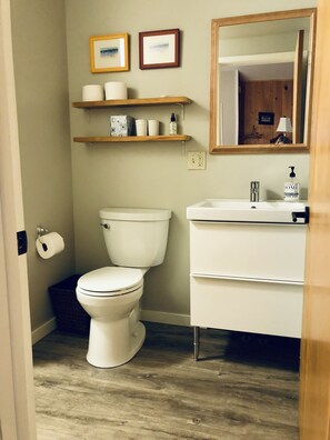 Shower, hair dryer, towels, soap - Good Hart Beach Cottage on 100' of Private Beach on Lake Michigan (Harbor Springs)