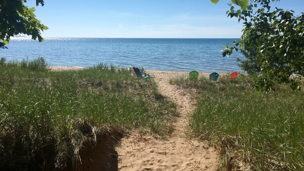 En sandig stig som leder ner till havet, omgiven av gräs och träd.