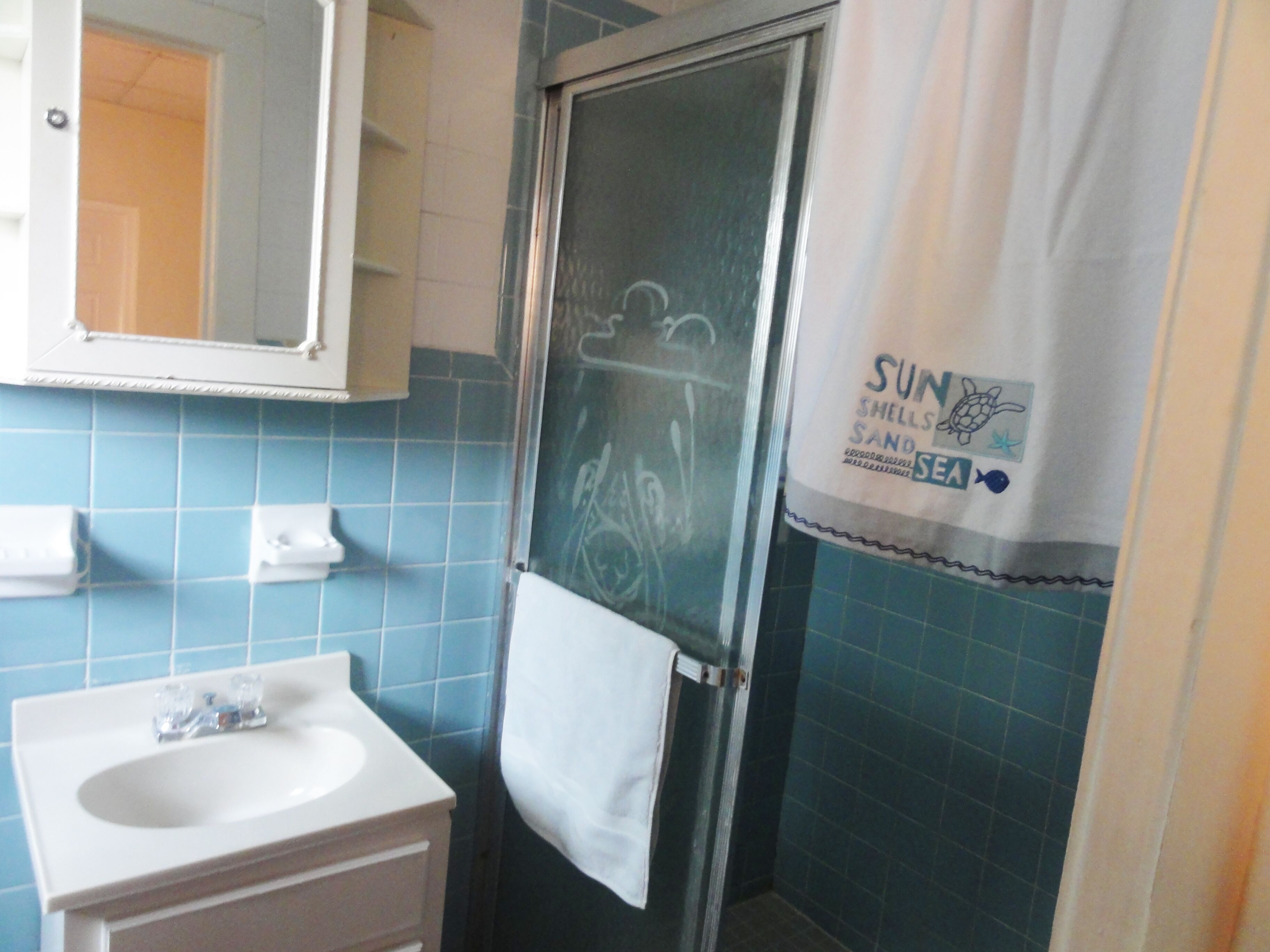 Combined shower/tub, towels, shampoo, toilet paper
