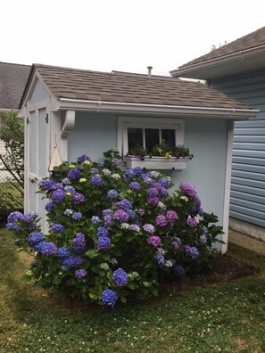 Property grounds - Cottage Near the Bay 2.5 blocks to beach & Harpoons. Available June 14 - 16! (North Cape May)