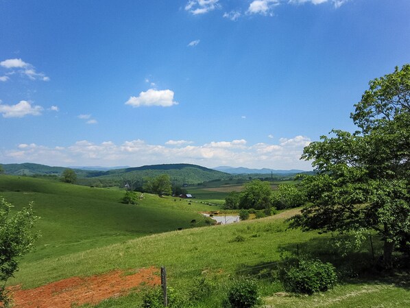 A rural landscape with rolling hills, a small body of water, and a few scattered trees. - Elegant & Modern Carriage House at Twin Maple Farm (Lexington)