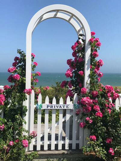 2 Bedrooms + Loft - sleeps 6 in beds but max 4 adults- 5 Blocks to Town