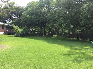 A grassy yard with trees and a house.
