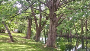 A serene park with mature trees and a calm water body. - STUNNING Private Frio River! Ping Pong, Guest Cabin, Rope Swing, Kayak Heaven (Leakey)