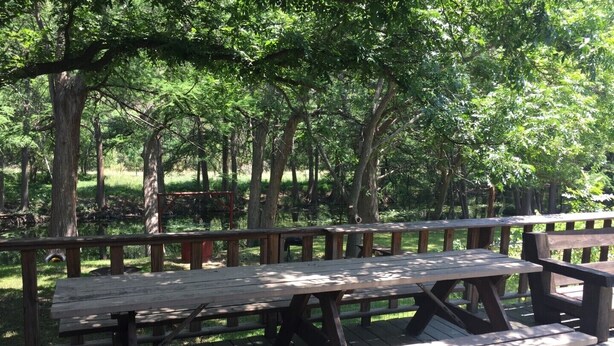 A wooden deck with picnic tables surrounded by trees. - STUNNING Private Frio River! Ping Pong, Guest Cabin, Rope Swing, Kayak Heaven (Leakey)