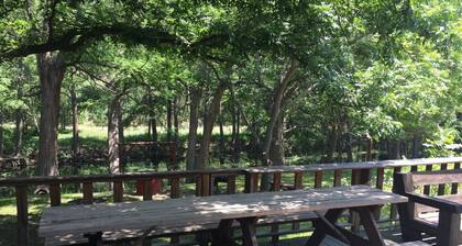 STUNNING Private Frio River! Ping Pong, Guest Cabin, Rope Swing, Kayak Heaven