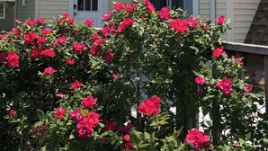 Une maison à deux étages avec une porte et des fenêtres blanches, entourée d’un jardin où poussent des roses rouges.