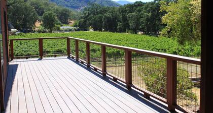 Large wine country house on private vineyard