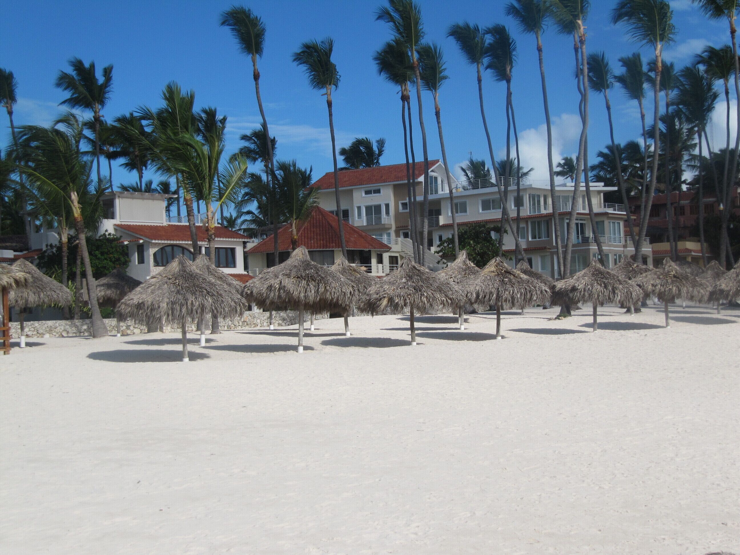 A beach with thatched umbrellas, palm trees, and beachfront buildings.
