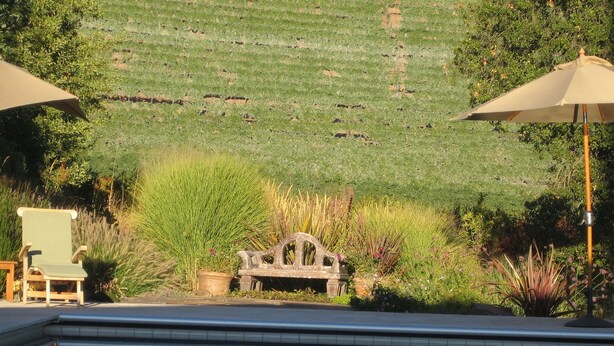 A pool area with a bench and chairs, surrounded by lush greenery and a hill in the background. - Vineyard FarmStay, & Heated Pool from May-Oct. (Glen Ellen)