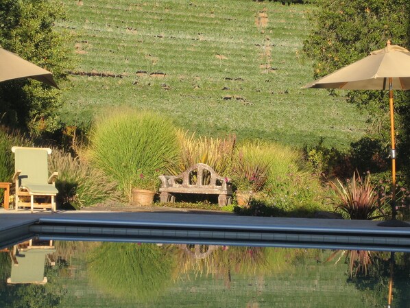 Alberca al aire libre y alberca climatizada