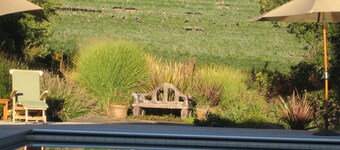 Vineyard FarmStay w/ Heated Pool from May-Oct.